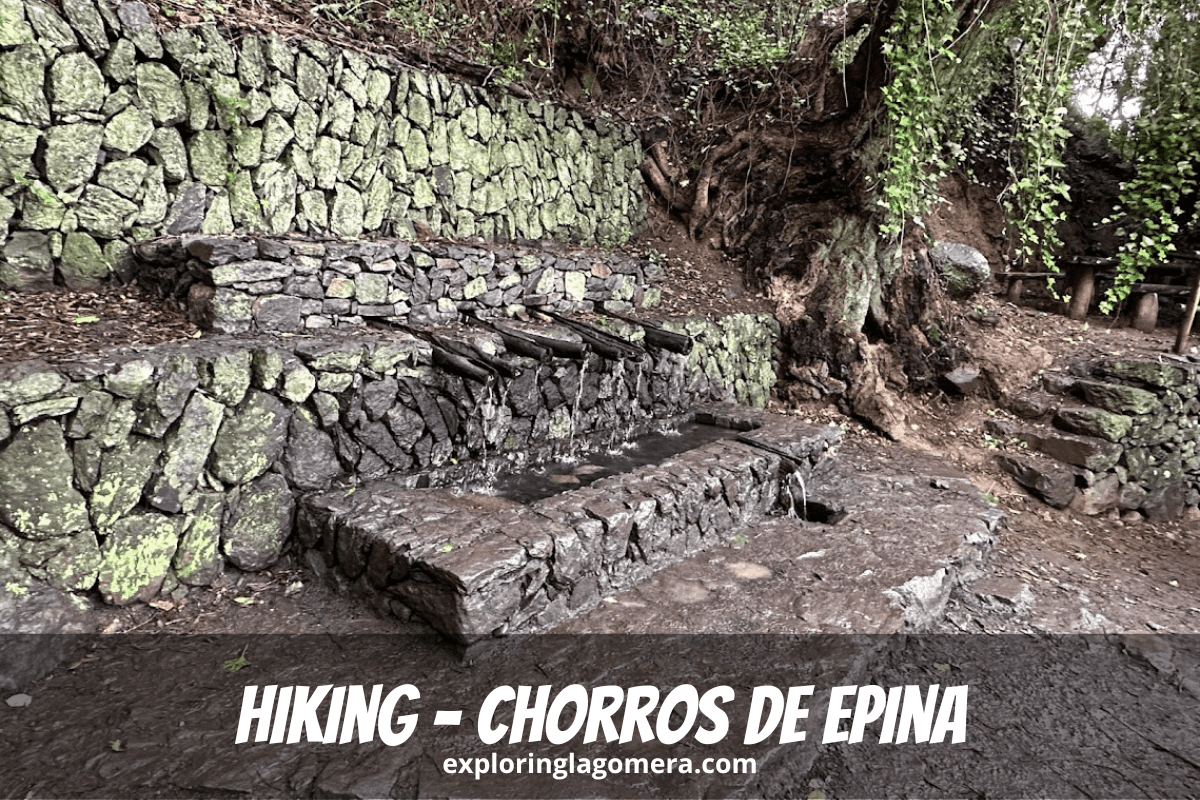Mystisches Quellwasser fließt aus Rohren namens Chorros De Epina La Gomera Kanarische Inseln Spanien