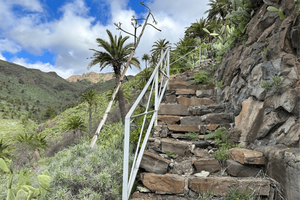 Escalones de piedra empinada en el camino hacia el Drago o El Drago La Gomera Islas Canarias España con árboles y montañas en el fondo