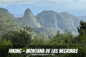 Vista spettacolare del Roque Agando dall'escursione sul Montana De Las Negrinas da Pajarito La Gomera Isole Canarie Spagna cespugli verdi e fogliame in primo piano