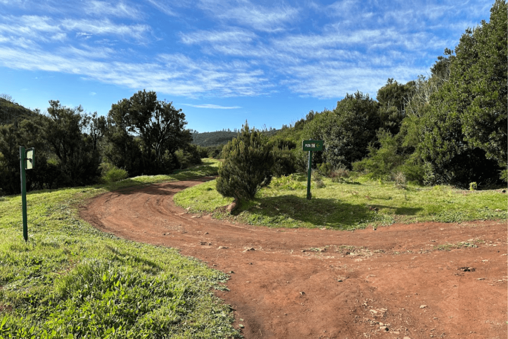 Bifurcación en una amplia ruta de senderismo en la Montaña de Las Negrinas de Pajarito La Gomera Islas Canarias España con árboles verdes y follaje que lo rodea