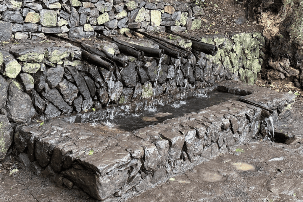 L'acqua di sorgente scorre dai tubi in un trogolo di pietra a Chorros De Epina La Gomera Isole Canarie Spagna