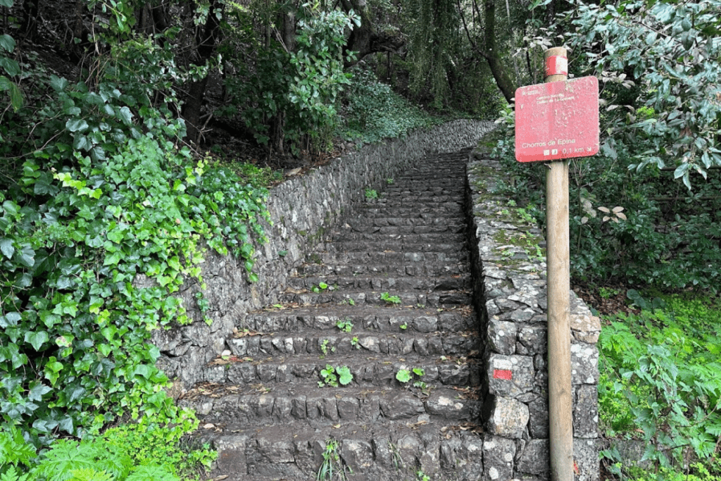 Escalones de piedra empinados rodeados de árboles y hiedra en el camino a Chorros de Epina La Gomera Islas Canarias